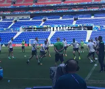 开云体云app登录入口-爱尔兰国家队足球